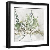 Olive Branch-Asia Jensen-Framed Art Print