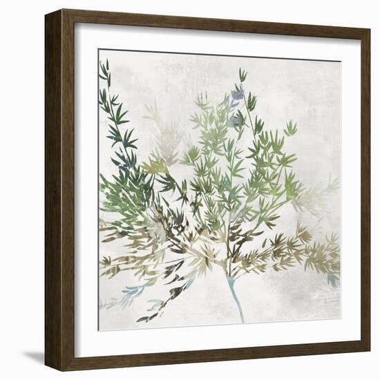 Olive Branch-Asia Jensen-Framed Art Print