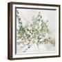 Olive Branch-Asia Jensen-Framed Art Print