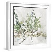 Olive Branch-Asia Jensen-Framed Art Print