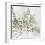 Olive Branch-Asia Jensen-Framed Art Print