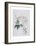 Olive Branches, 1998-Rebecca John-Framed Giclee Print