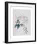 Olive Branches, 1998-Rebecca John-Framed Giclee Print