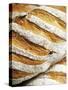 Olive Bread-Herbert Lehmann-Stretched Canvas