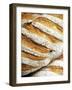 Olive Bread-Herbert Lehmann-Framed Photographic Print