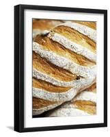 Olive Bread-Herbert Lehmann-Framed Photographic Print