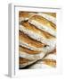 Olive Bread-Herbert Lehmann-Framed Photographic Print