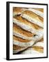 Olive Bread-Herbert Lehmann-Framed Photographic Print