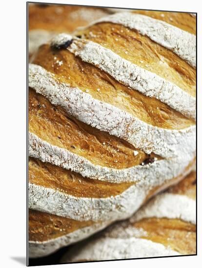 Olive Bread-Herbert Lehmann-Mounted Photographic Print