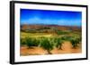 Olive Filed-Viviane Fedieu Daniel-Framed Photographic Print