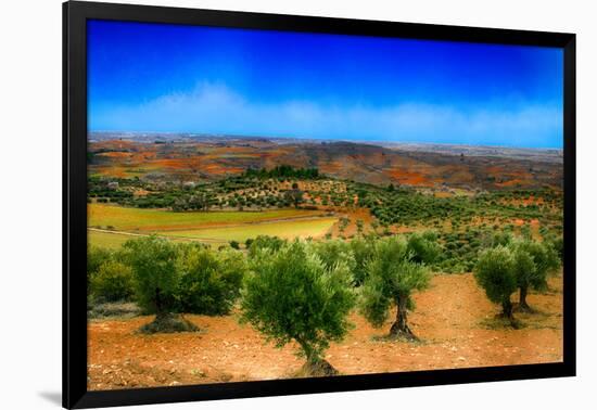 Olive Filed-Viviane Fedieu Daniel-Framed Photographic Print