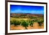 Olive Filed-Viviane Fedieu Daniel-Framed Photographic Print