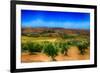 Olive Filed-Viviane Fedieu Daniel-Framed Photographic Print