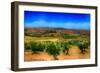 Olive Filed-Viviane Fedieu Daniel-Framed Photographic Print