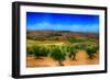 Olive Filed-Viviane Fedieu Daniel-Framed Photographic Print