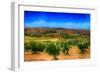 Olive Filed-Viviane Fedieu Daniel-Framed Photographic Print