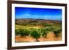 Olive Filed-Viviane Fedieu Daniel-Framed Photographic Print