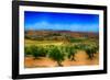 Olive Filed-Viviane Fedieu Daniel-Framed Photographic Print