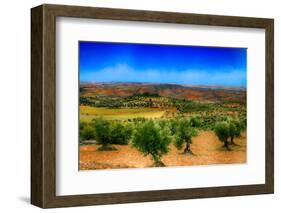 Olive Filed-Viviane Fedieu Daniel-Framed Photographic Print