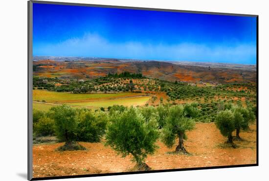 Olive Filed-Viviane Fedieu Daniel-Mounted Photographic Print