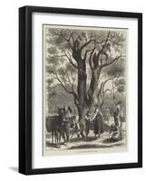 Olive Gathering at Mentone in April-null-Framed Giclee Print