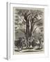 Olive Gathering at Mentone in April-null-Framed Giclee Print