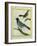 Olive-Green Tanager and Black-Chinned Antbird-Georges-Louis Buffon-Framed Giclee Print