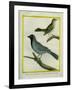 Olive-Green Tanager and Black-Chinned Antbird-Georges-Louis Buffon-Framed Giclee Print