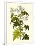 Gramercy White