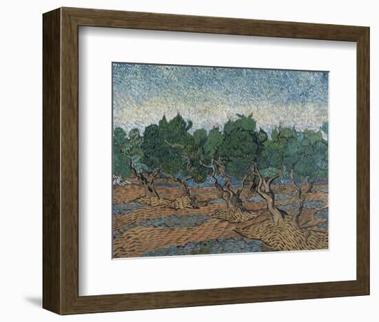 Olive Grove, 1889-Vincent van Gogh-Framed Art Print