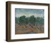 Olive Grove, 1889-Vincent van Gogh-Framed Art Print