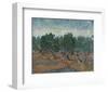 Olive Grove, 1889-Vincent van Gogh-Framed Art Print