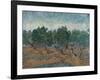 Olive Grove, 1889-Vincent van Gogh-Framed Giclee Print