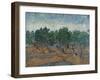 Olive Grove, 1889-Vincent van Gogh-Framed Giclee Print