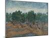 Olive Grove, 1889-Vincent van Gogh-Mounted Giclee Print