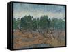 Olive Grove, 1889-Vincent van Gogh-Framed Stretched Canvas