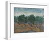 Olive Grove, 1889-Vincent van Gogh-Framed Premium Giclee Print