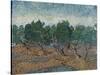 Olive Grove, 1889-Vincent van Gogh-Stretched Canvas