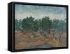 Olive Grove, 1889-Vincent van Gogh-Framed Stretched Canvas