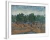 Olive Grove, 1889-Vincent van Gogh-Framed Giclee Print