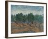 Olive Grove, 1889-Vincent van Gogh-Framed Giclee Print