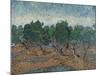 Olive Grove, 1889-Vincent van Gogh-Mounted Giclee Print
