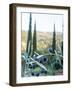 Olive Grove Close-Up and Vineyard in Background-Terry Eggers-Framed Photographic Print