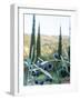 Olive Grove Close-Up and Vineyard in Background-Terry Eggers-Framed Photographic Print