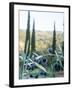 Olive Grove Close-Up and Vineyard in Background-Terry Eggers-Framed Photographic Print