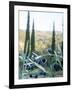 Olive Grove Close-Up and Vineyard in Background-Terry Eggers-Framed Photographic Print