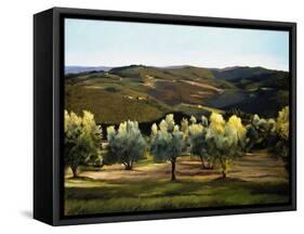 Olive Grove in Italy-Helen J. Vaughn-Framed Stretched Canvas