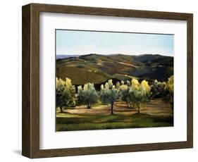 Olive Grove in Italy-Helen J. Vaughn-Framed Premium Giclee Print