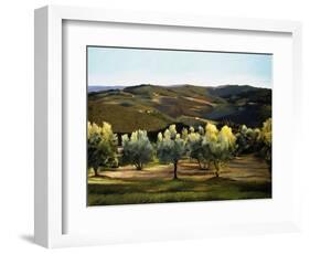 Olive Grove in Italy-Helen J. Vaughn-Framed Premium Giclee Print