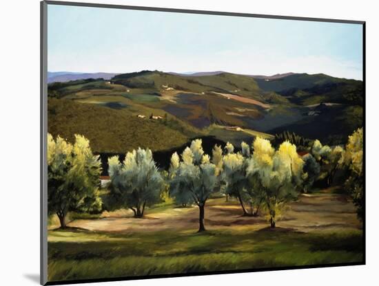 Olive Grove in Italy-Helen J. Vaughn-Mounted Premium Giclee Print